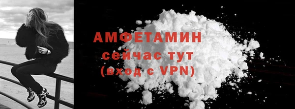 индика Саяногорск