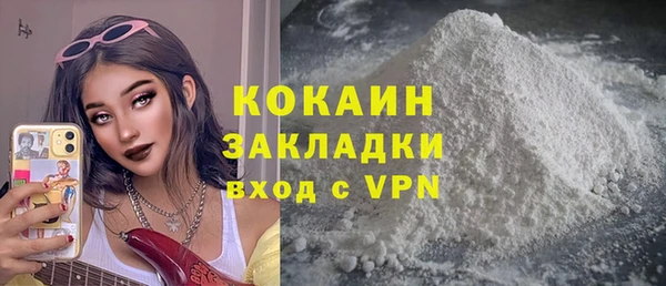 индика Саяногорск