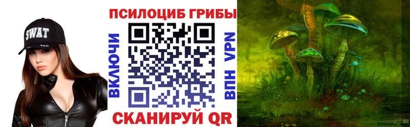 как найти Заволжье Псилоцибиновые грибы мухоморы