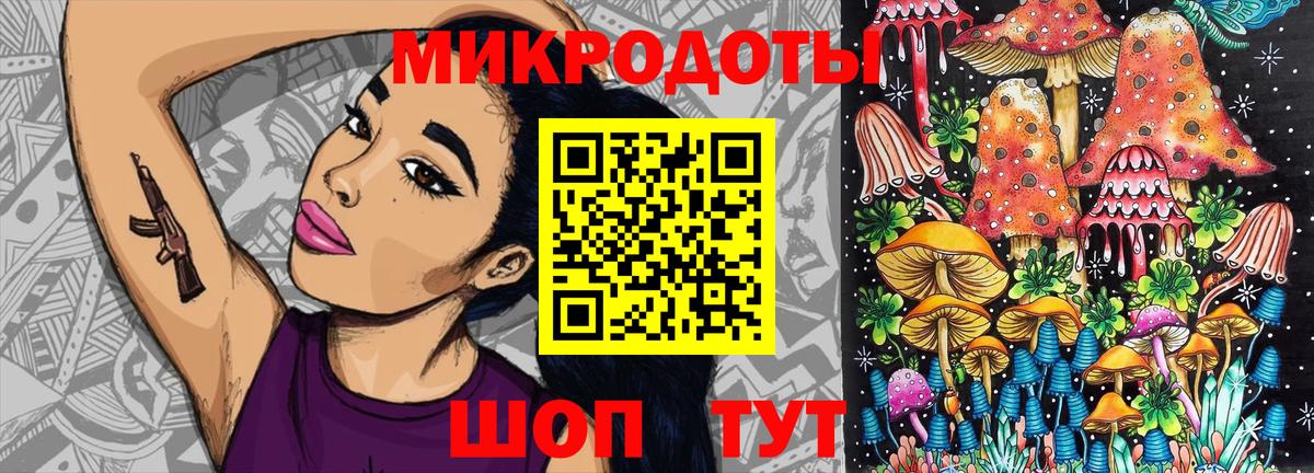 Псилоцибиновые грибы Cubensis Заволжье