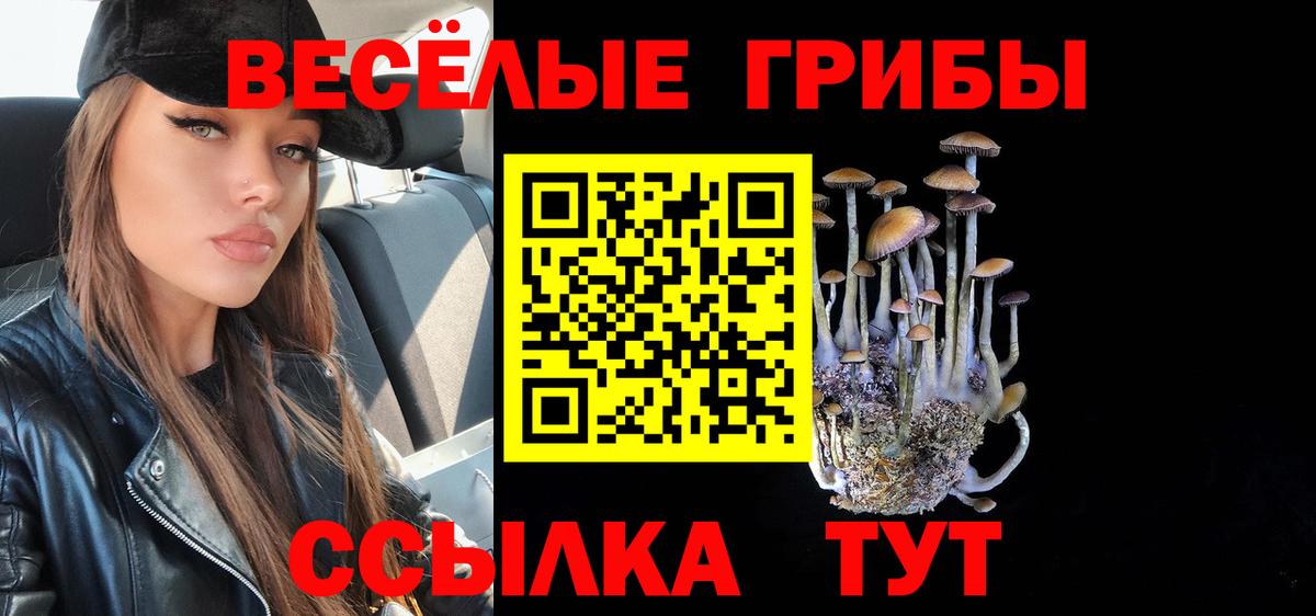 Псилоцибиновые грибы Magic Shrooms  Вход с VPN  закладки  Заволжье 